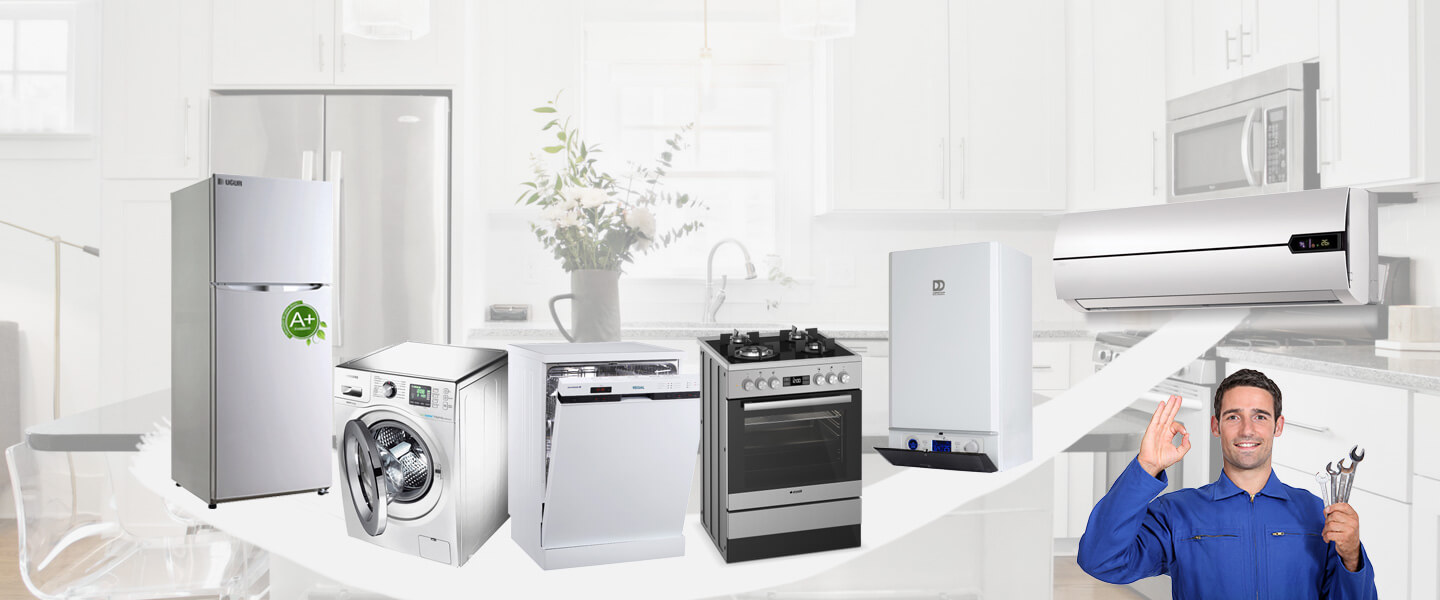 Babadağ Electrolux Servisi